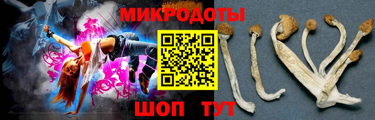Псилоцибиновые грибы Magic Shrooms Элиста
